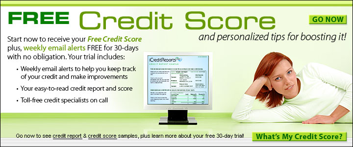 Innovis Credit Report